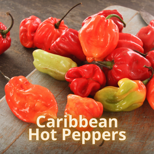 Caribbean hot peppers