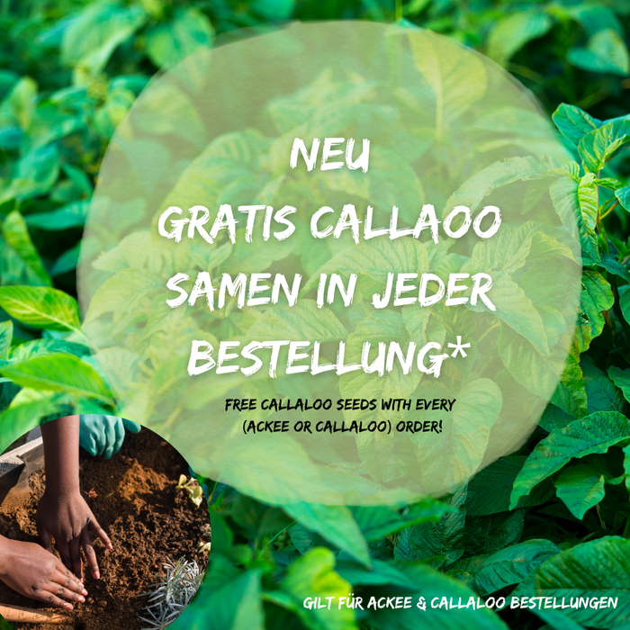 Gratis Callaloo Samen in jeder Bestellung