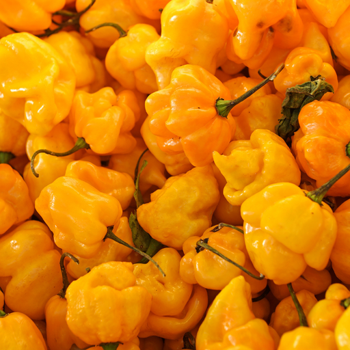 Yellow Scotch Bonnet Chilisauce