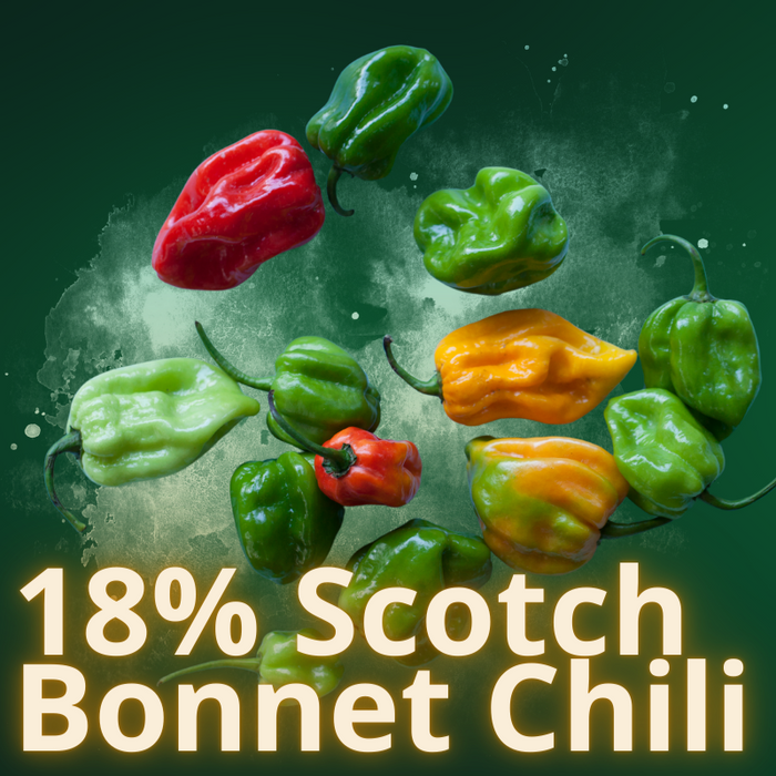 Scharfe Mango-Chilisauce nach jamaikanischer Art mit 18% Scotch Bonnet