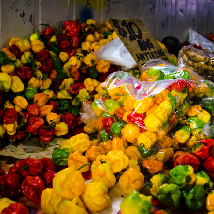 Scotch Bonnet Chilis authentische Zutat für Jerk Gewürzmischung