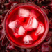 Jamaican Sorrel Drink